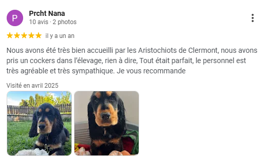 ⭐️ QUELQUES AVIS ⭐️