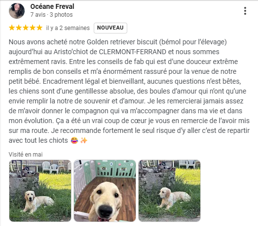 ⭐️ QUELQUES AVIS ⭐️