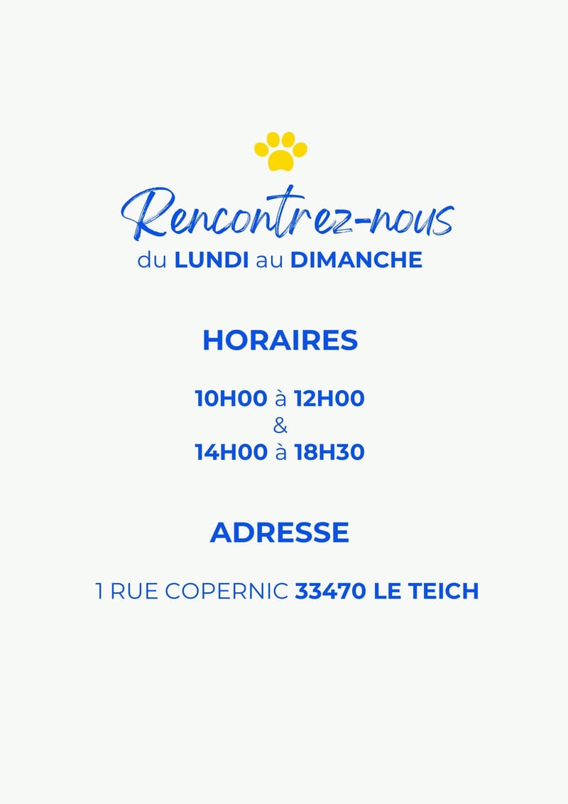 1 rue Copernic 33470 Le TEICH