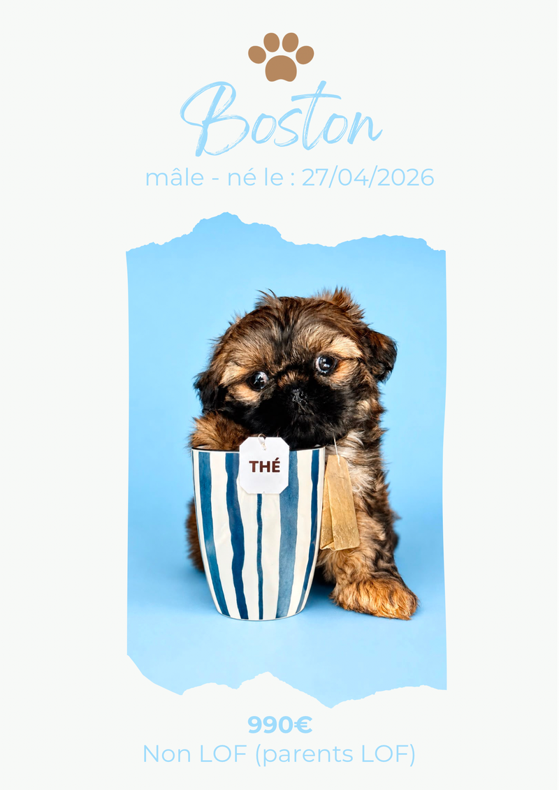 LE SHIH TZU