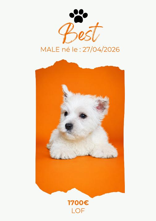 LE WESTIE