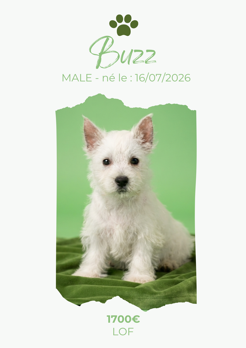 LE WESTIE