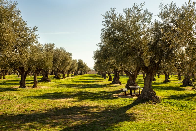 Località Da Sogno