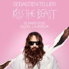Sébastien TELLIER