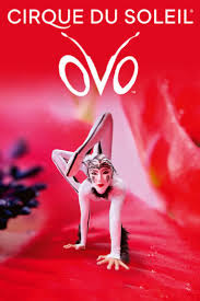 Cirque du Soleil - OVO