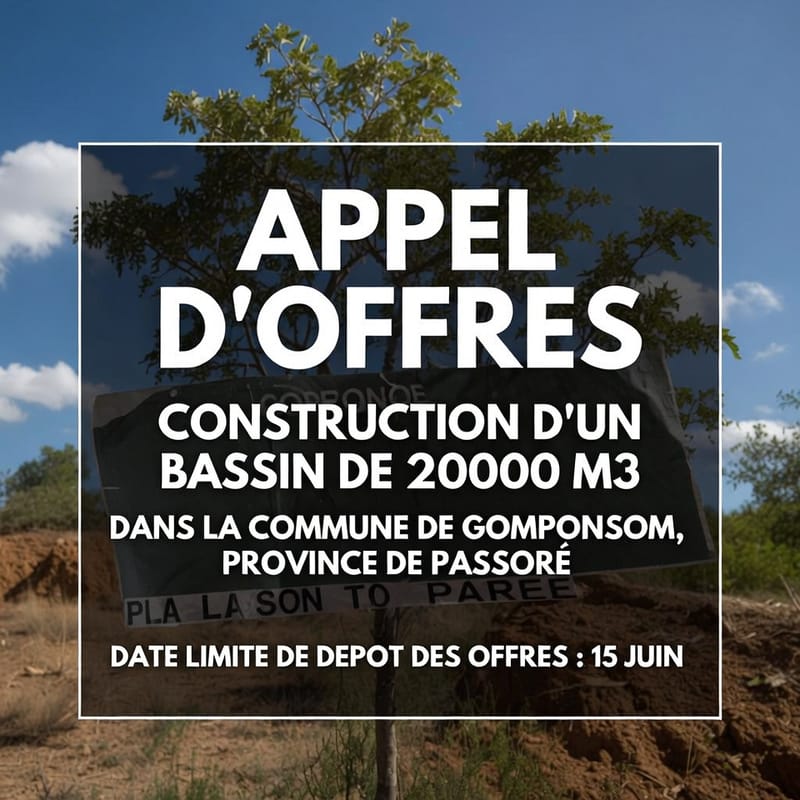 Appel d'offre: Construction d'un bouli de 20000 m3 dans la commune de Gomponsom, province de Passoré