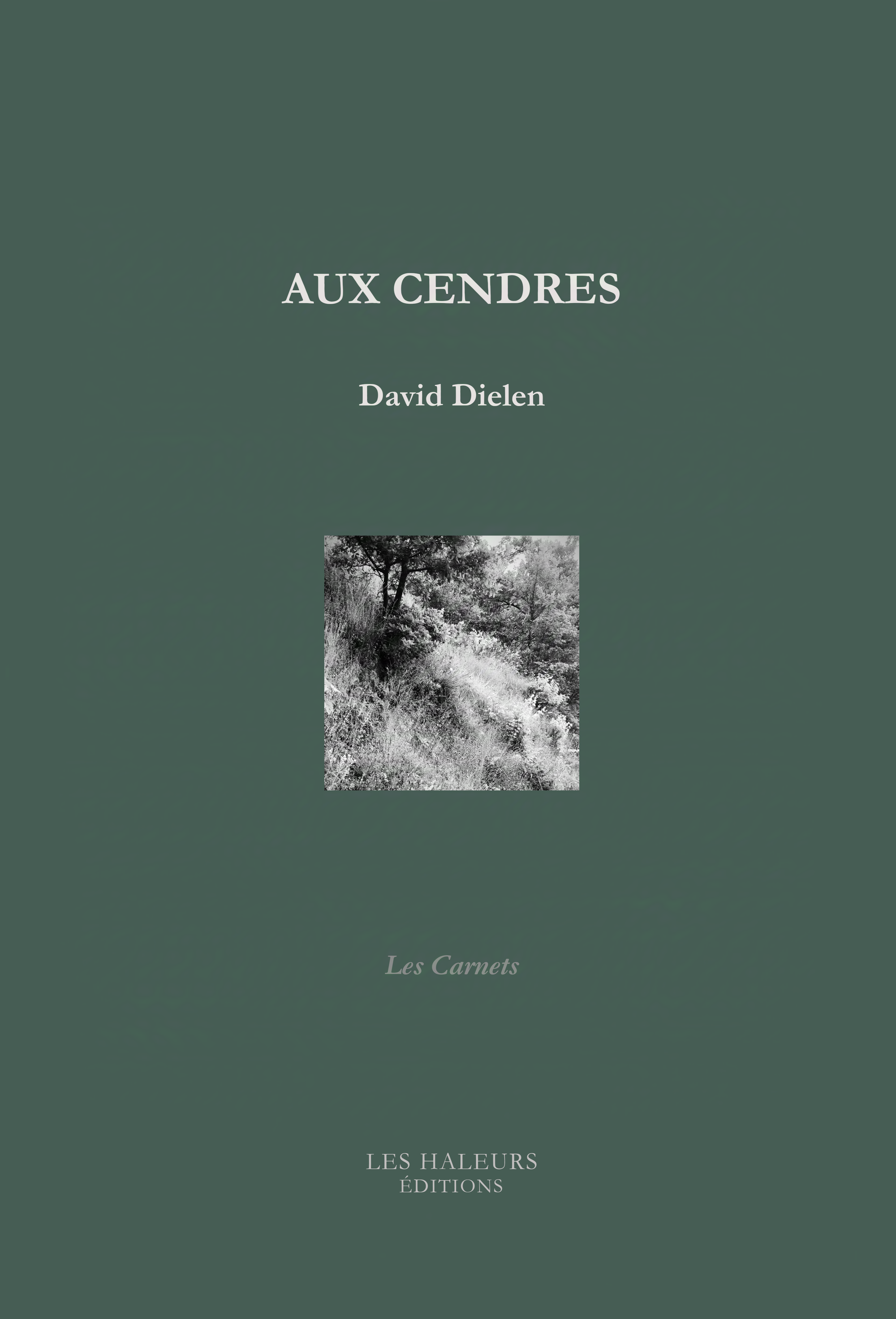 N°1 DAVID DIELEN, AUX CENDRES, 2024