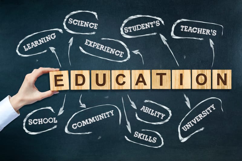 Afectivitatea în actul educațional (Autor: Condrache Gabriela)