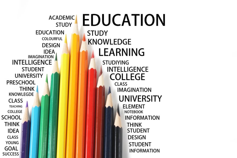 Repere educaționale ale identității profesionale (Autor: Condrache Gabriela)