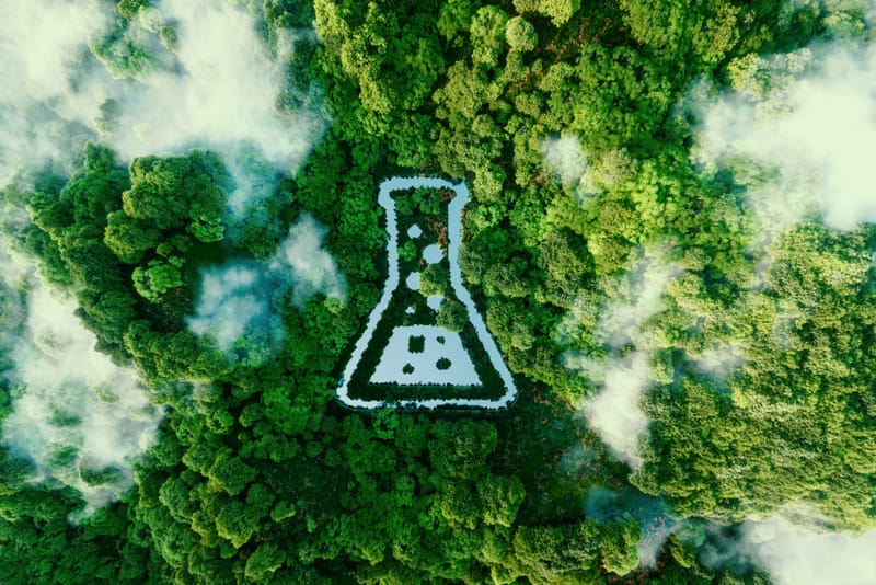 Educația pentru mediu prin orele de chimie (Autor: Stanciu Camelia)