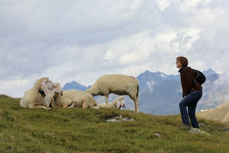 9. AUTRICHE : Route de la Silvettra (Voralberg), Partenen, Ischgl, Kaunertal, GurgelHoch
