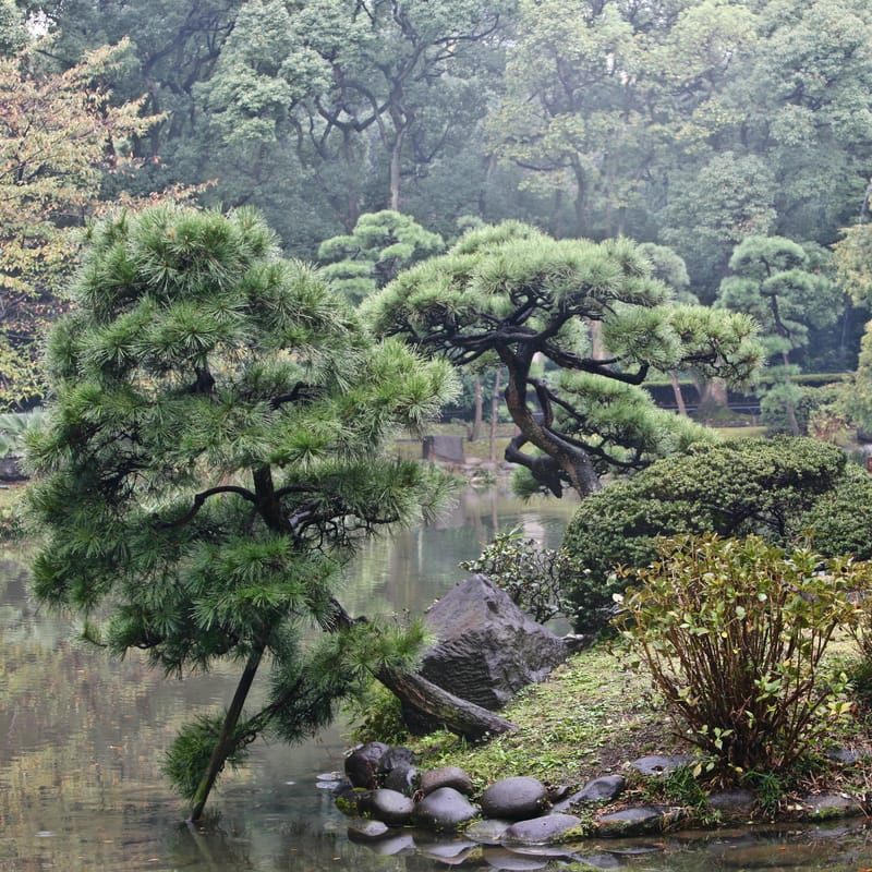 3. TOKYO : le parc d'HIBIYA et la fête des Philippins