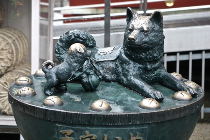 2. TOKYO : Shibuya, Parc Yoyogi et Sanctuaire Meiji