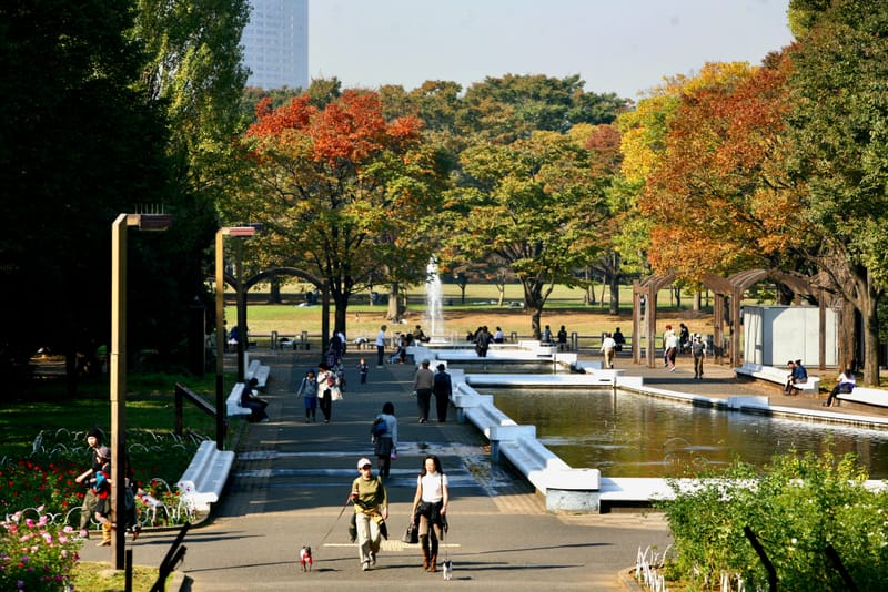 2. TOKYO : Shibuya, Parc Yoyogi et Sanctuaire Meiji