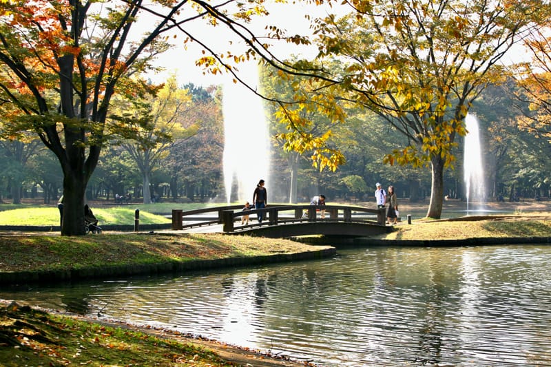 2. TOKYO : Shibuya, Parc Yoyogi et Sanctuaire Meiji