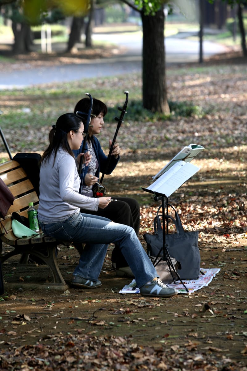 2. TOKYO : Shibuya, Parc Yoyogi et Sanctuaire Meiji