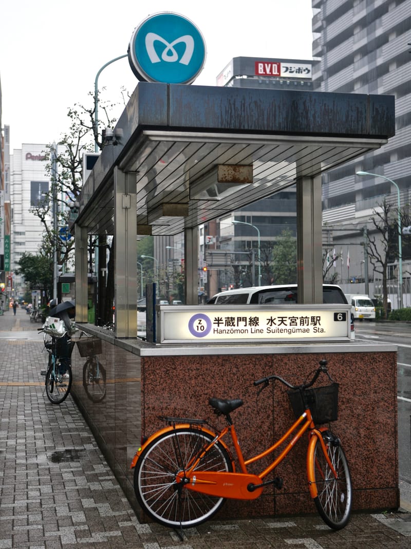 2. TOKYO : Shibuya, Parc Yoyogi et Sanctuaire Meiji