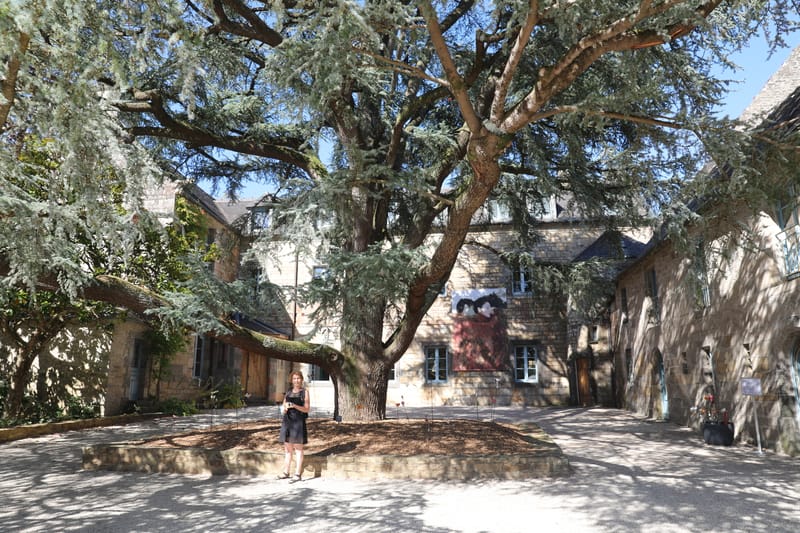 BRETAGNE 2020 : 1. Landerneau, Phare du Petit Minou, Pointe St Mathieu, Landevennec, Morgat, Doualas & abbaye (HRZ)