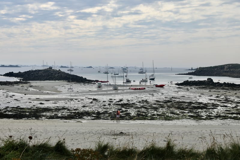 BRETAGNE 2020 : 4. En bateau à l'île de Batz, Roscoff