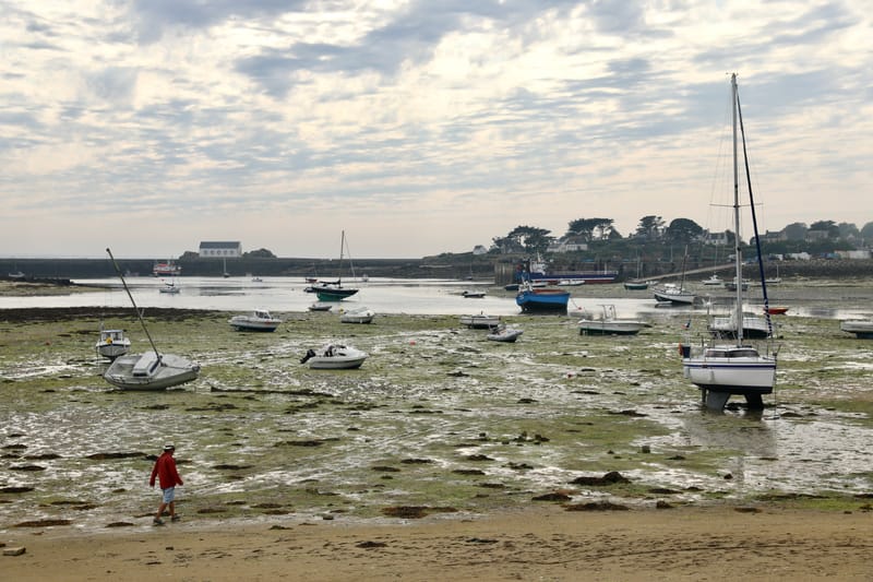 BRETAGNE 2020 : 4. En bateau à l'île de Batz, Roscoff