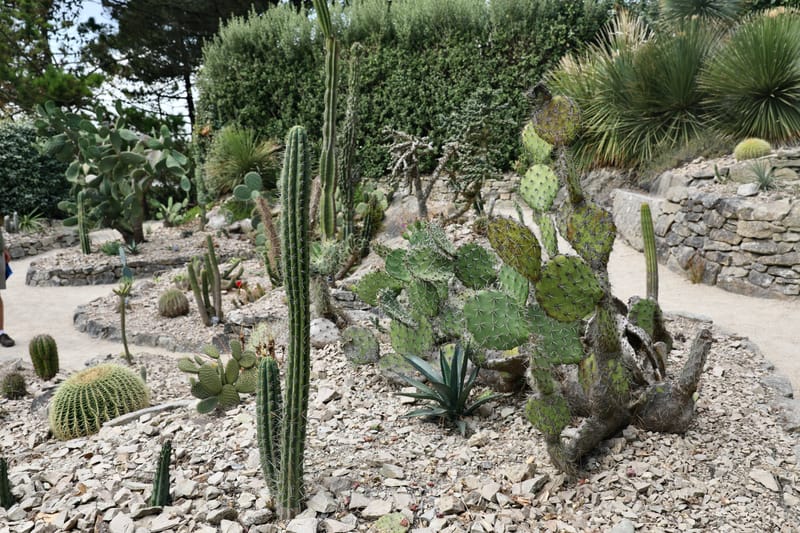 BRETAGNE 2020 : 4. En bateau à l'île de Batz, Roscoff