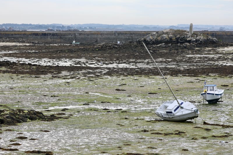 BRETAGNE 2020 : 4. En bateau à l'île de Batz, Roscoff