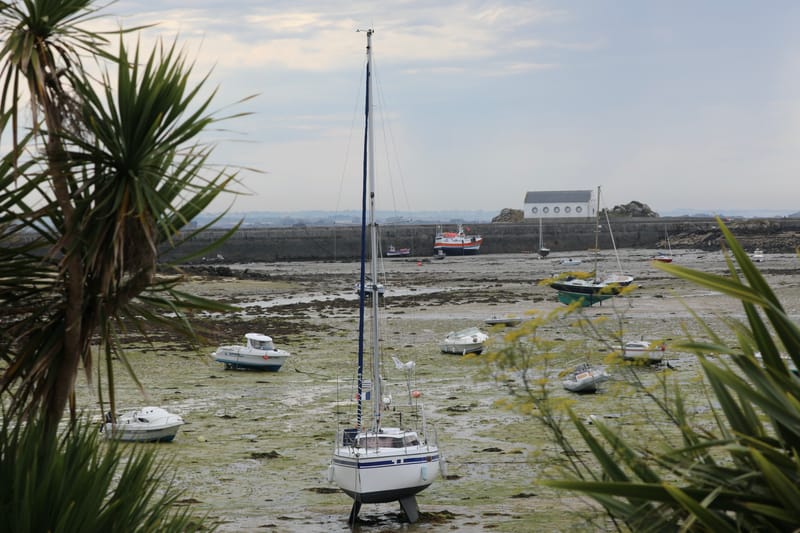 BRETAGNE 2020 : 4. En bateau à l'île de Batz, Roscoff