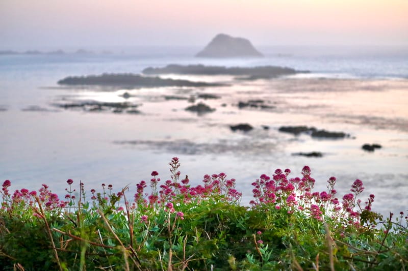 BRETAGNE 2020 : 2. Ile d'Ouessant (HRZ)