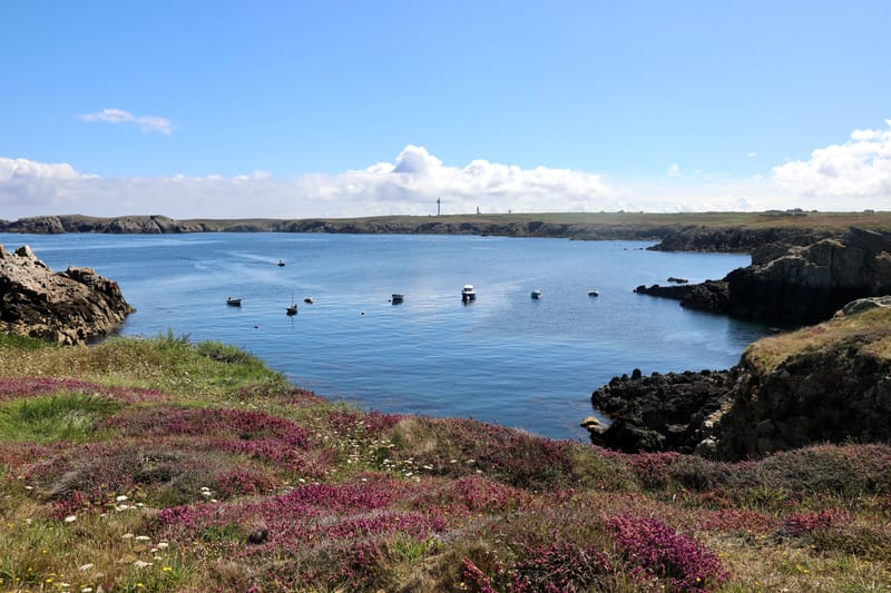 BRETAGNE 2020 : 2. Ile d'Ouessant (HRZ)