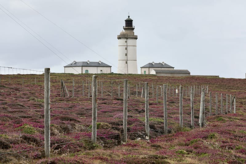 BRETAGNE 2020 : 2. Ile d'Ouessant (HRZ)