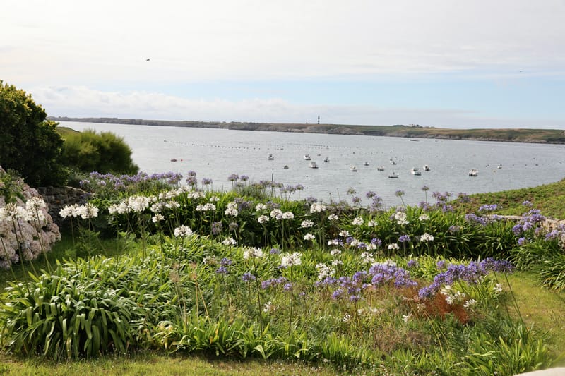 BRETAGNE 2020 : 2. Ile d'Ouessant (HRZ)