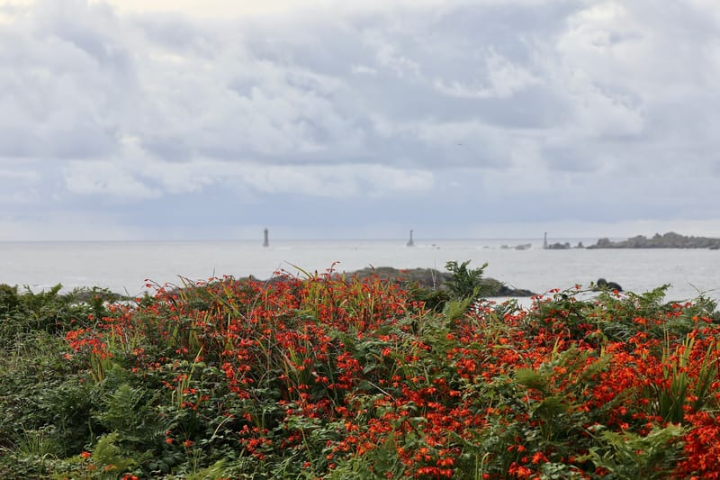 BRETAGNE 2020 : 2. Ile d'Ouessant (HRZ)