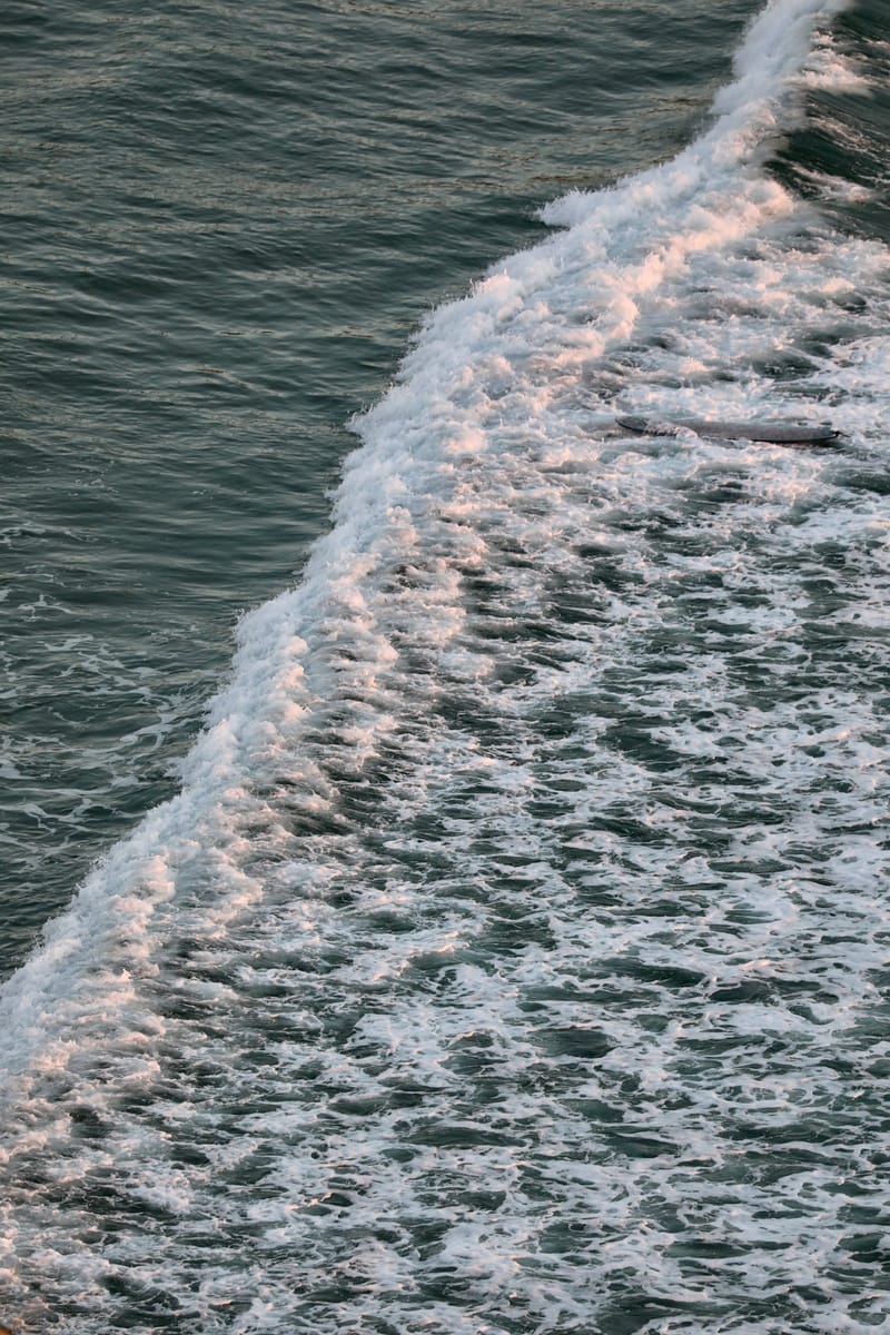 BRETAGNE 2020 : 7. Le Top du Top