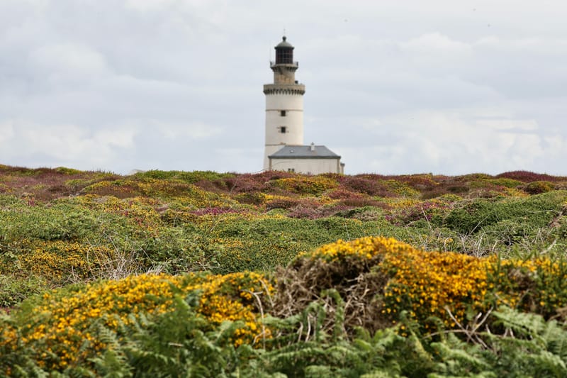 BRETAGNE 2020 : 7. Le Top du Top