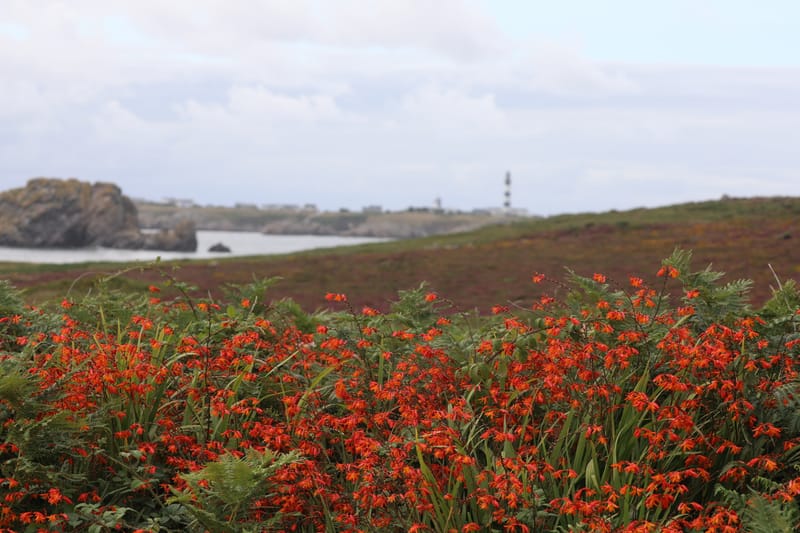 BRETAGNE 2020 : 7. Le Top du Top
