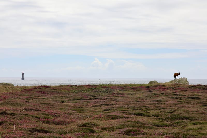 BRETAGNE 2020 : 7. Le Top du Top