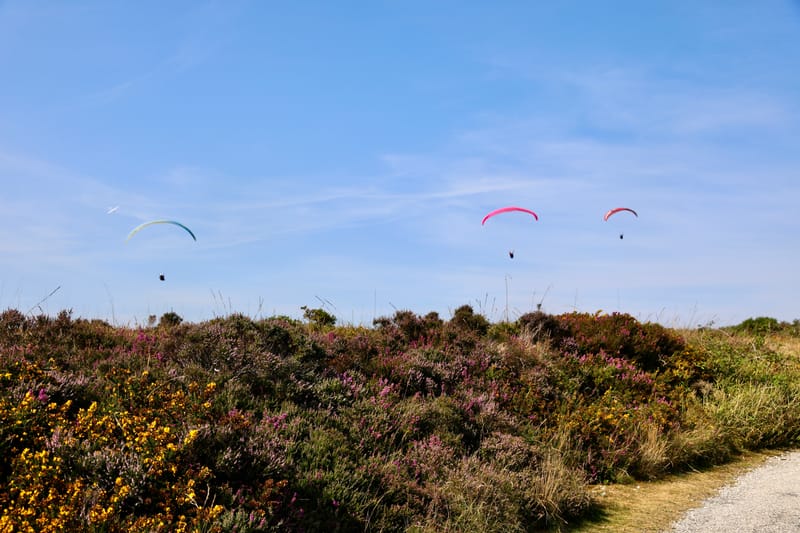BRETAGNE 2020 : 7. Le Top du Top