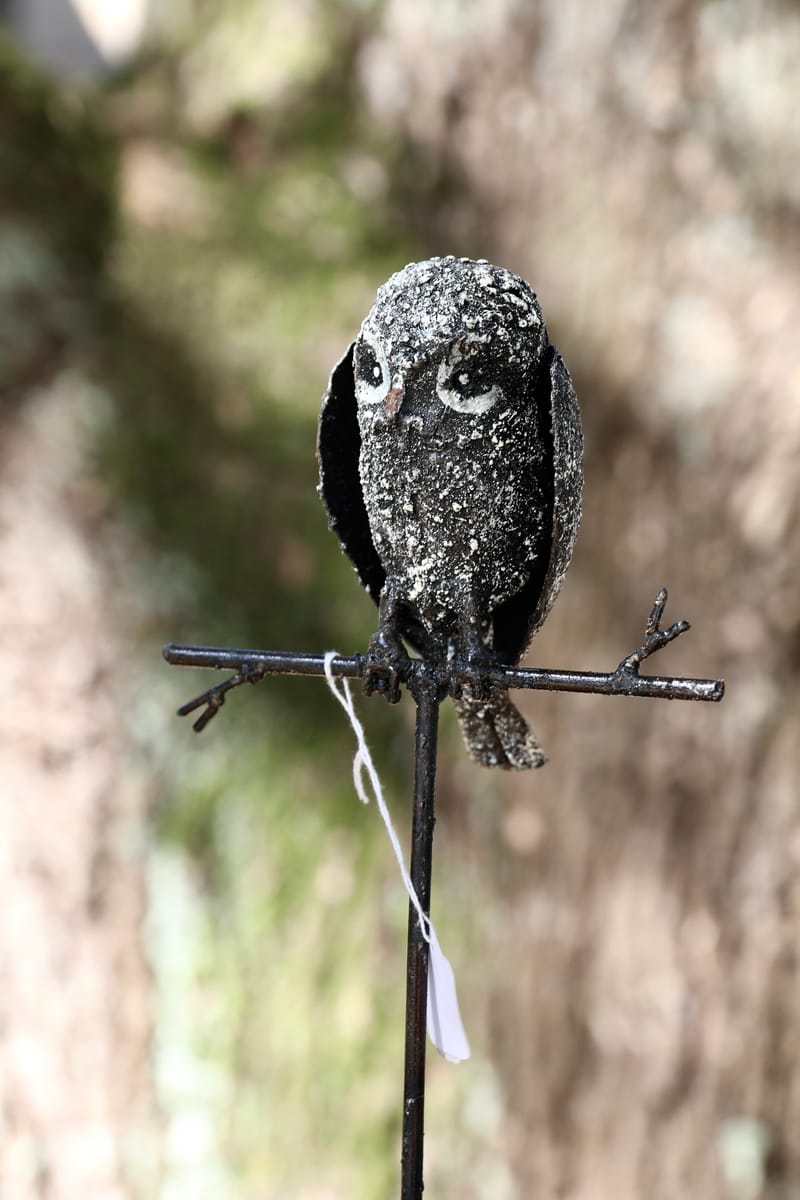 BRETAGNE 2020 : 6. Les Insolites