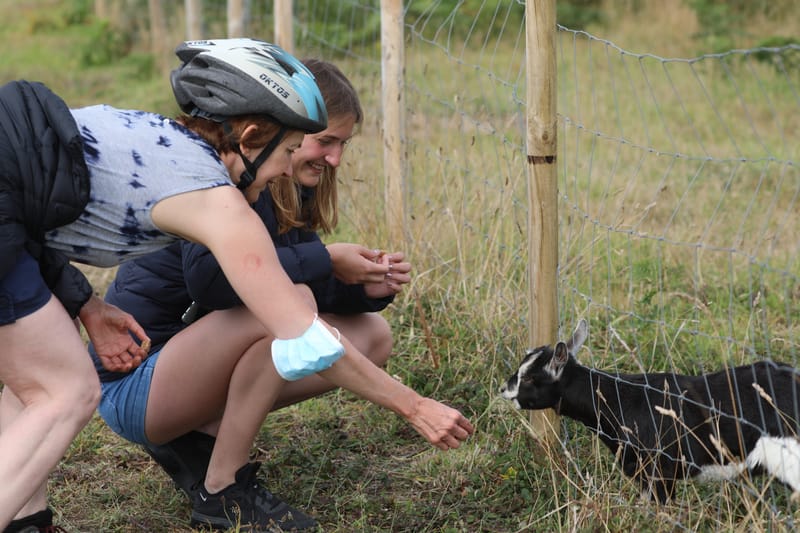 BRETAGNE 2020 : 6. Les Insolites