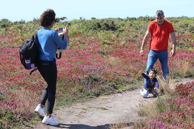 BRETAGNE 2020 : 6. Les Insolites