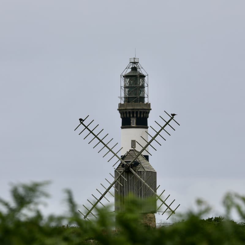 BRETAGNE 2020 : 6. Les Insolites