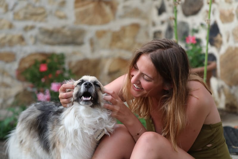 BRETAGNE 2020 : 6. Les Insolites