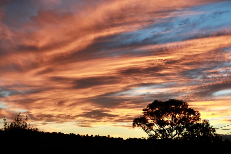 Banlieue de Sydney : Bondi Beach, Mainly, falaises de Vaucluse