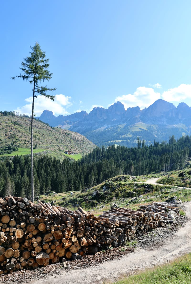 11. ITALIE 2 : Dolomites 1, Passo di Castalunga/Pordoi/Falzarego, Lago di Carezzo, Canazei