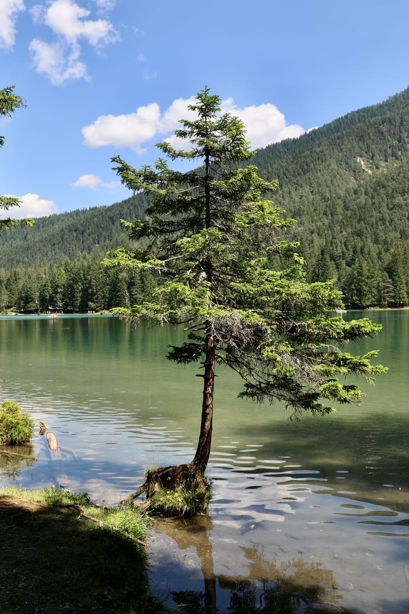 13. ITALIE 4 : Dolomites 3, Lago di Dobbiaco, Andorno, Tré Cimé de Lavaredo, Lago di Braies (Cortina2)