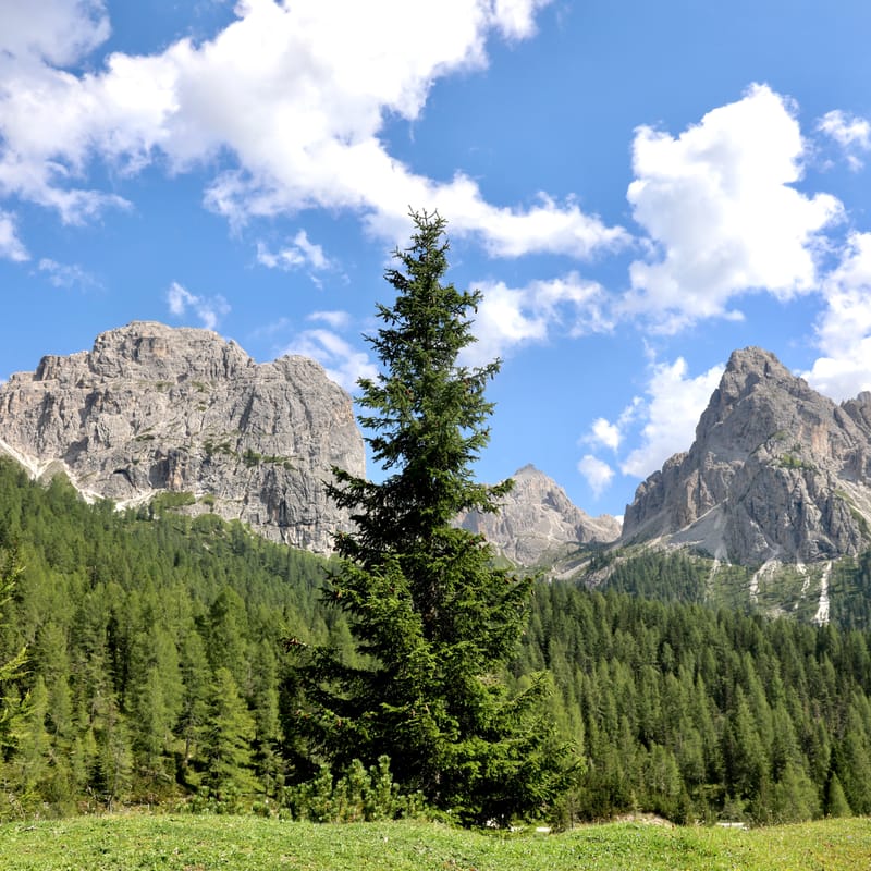 13. ITALIE 4 : Dolomites 3, Lago di Dobbiaco, Andorno, Tré Cimé de Lavaredo, Lago di Braies (Cortina2)