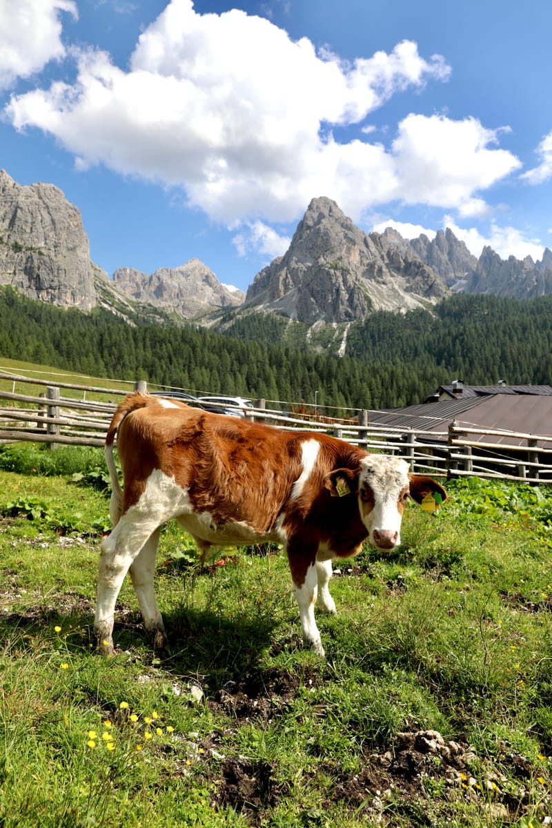 13. ITALIE 4 : Dolomites 3, Lago di Dobbiaco, Andorno, Tré Cimé de Lavaredo, Lago di Braies (Cortina2)