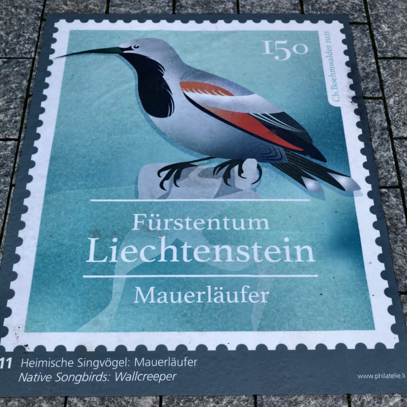 8. LIECHTENSTEIN : Vaduz, musée et Château