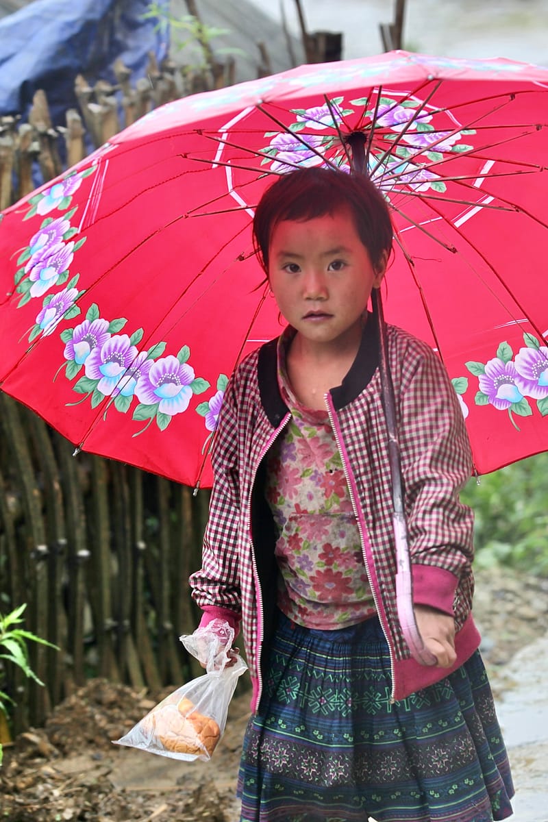 3. Les Hmongs 3 : Au coeur de la campagne (Phec Bun, Taphin)