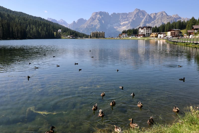 15. ITALIE 6 : DOLOMITES 5 & TRENTIN : Lago di Misurina, di Alonzo, Passo Salla di Ronzo, Sauris, Raccolana